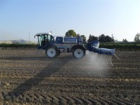 /album/www-agrinatale-it/sam-0295-jpg/